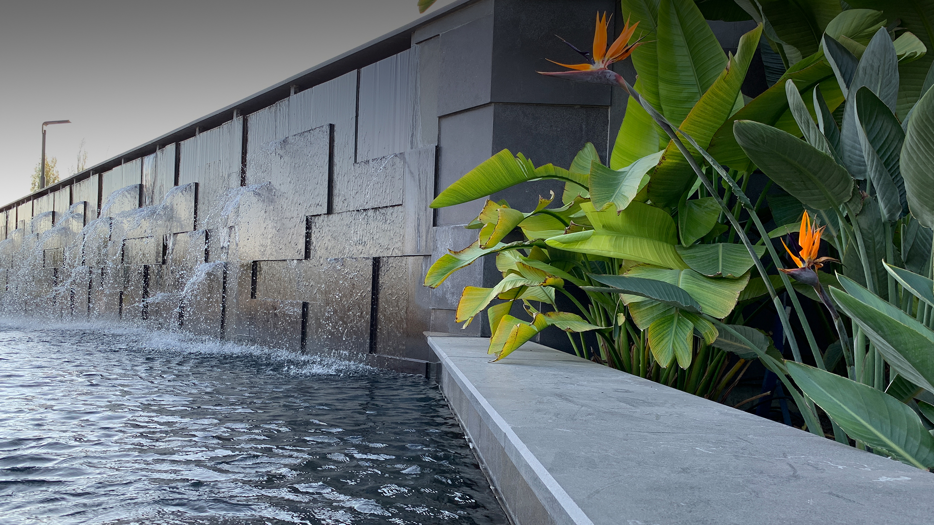 AGORA <br> ALIŞVERİŞ MERKEZİ